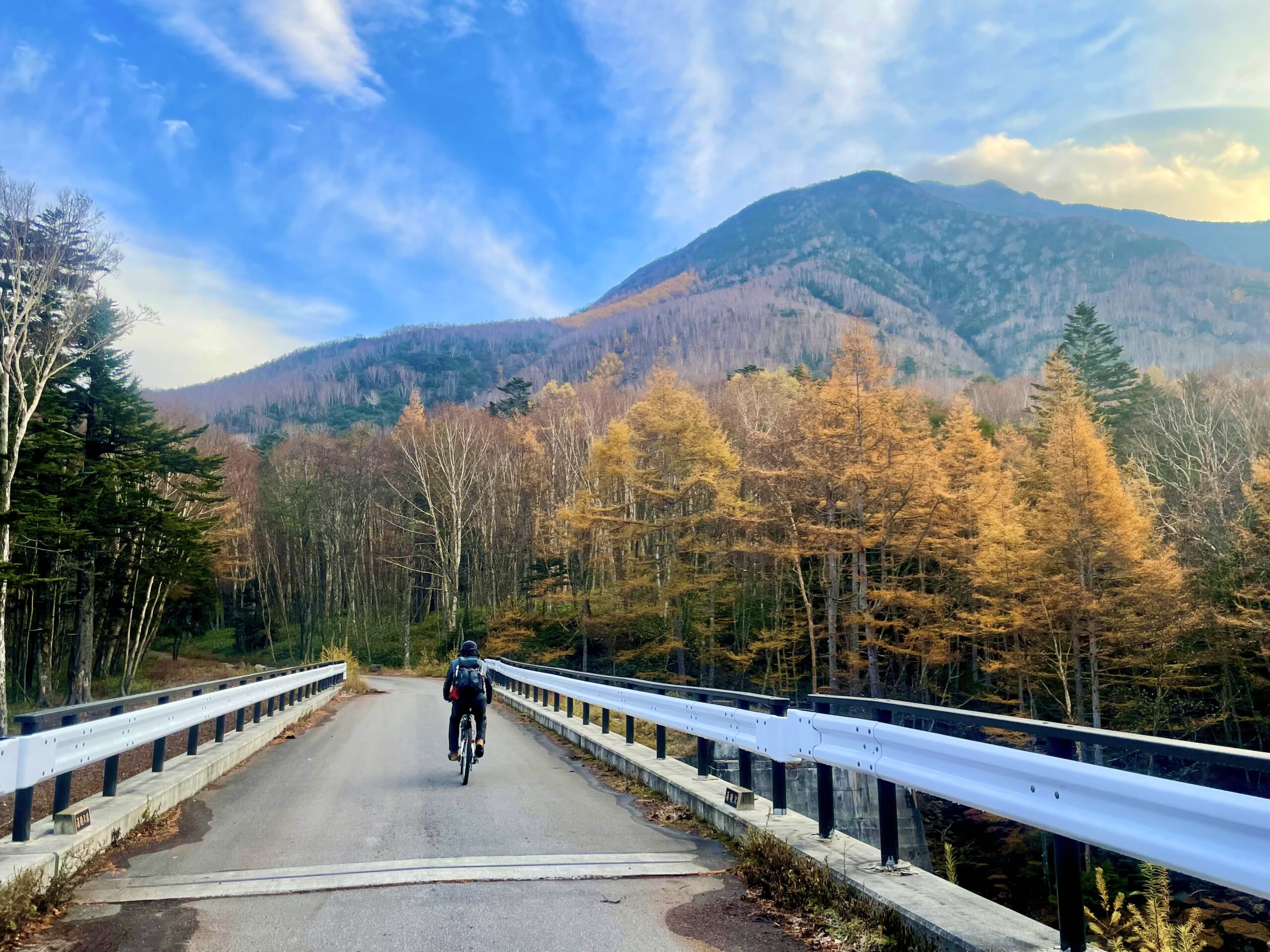【真作】掛軸　幽玄の山水　松林と連なる山嶺　山河の静寂　霧に包まれた峰々　Q87 真作】掛軸 幽玄の山水 松林と連なる山嶺 山河の静寂 霧に包まれ