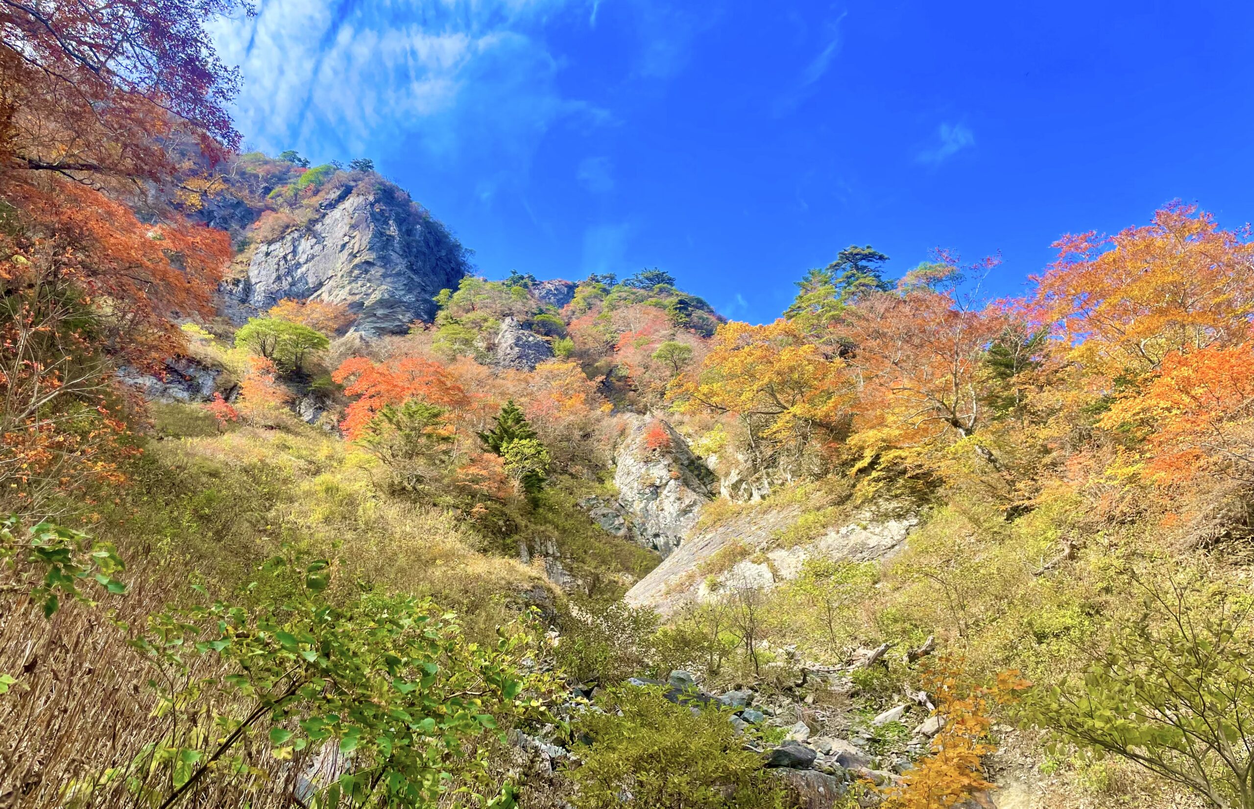 No186 石鎚山｜きつねだこん