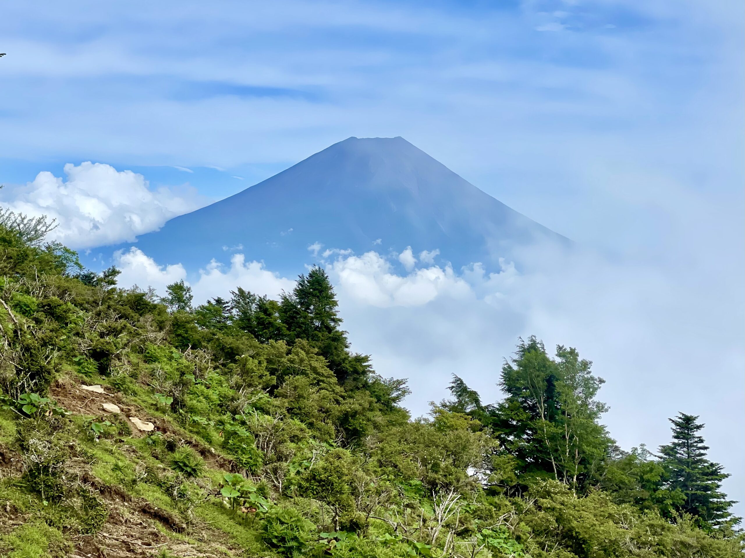 岡山県百名山　登山　遺跡　自然　物語　福山　金山　鷲羽山　蒜山　大山　絶版 山登り人生VOL668初めての蒜山三山｜させぼ山酔倶楽部 よっちゃん